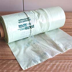 Compostable produce bag (gusseted)